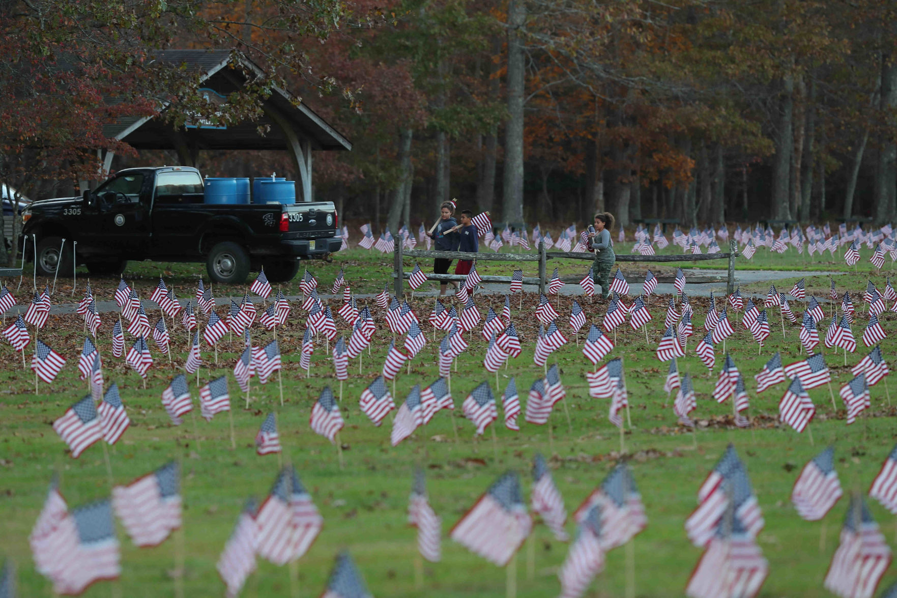 Scouts planted American Flags ahead of Veterans Day
